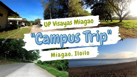 up miagao courses|University of the Philippines Visayas: master's programs offered.
